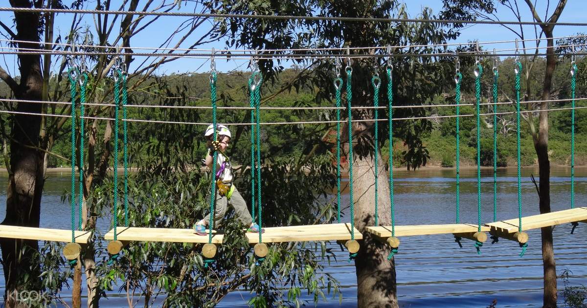 Treetop Climbing and Ziplining Experience Klook Hong Kong